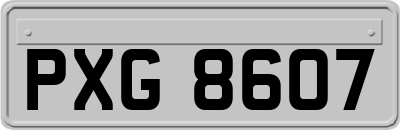 PXG8607