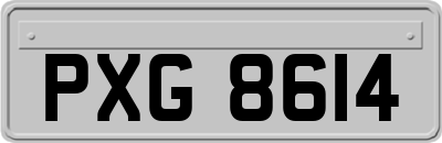 PXG8614