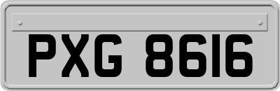 PXG8616