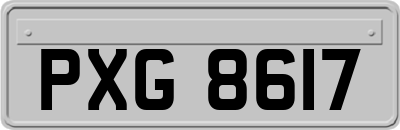 PXG8617