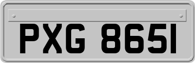 PXG8651