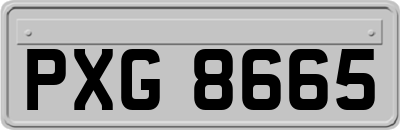 PXG8665