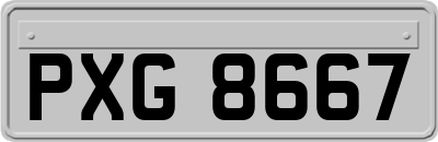 PXG8667