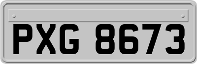 PXG8673