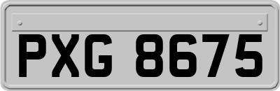 PXG8675