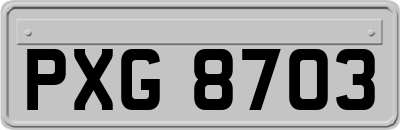 PXG8703