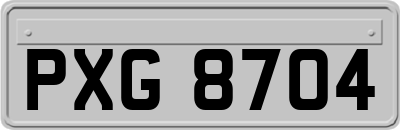 PXG8704