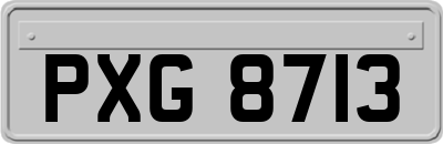 PXG8713