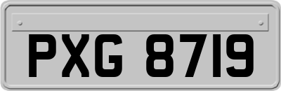 PXG8719