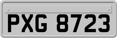 PXG8723