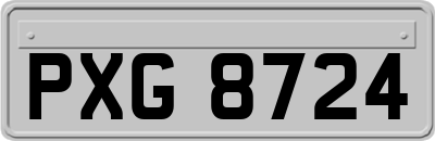 PXG8724