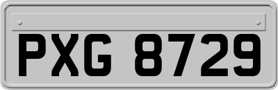 PXG8729