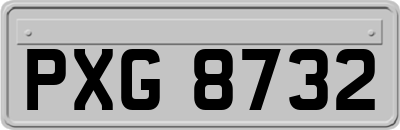 PXG8732