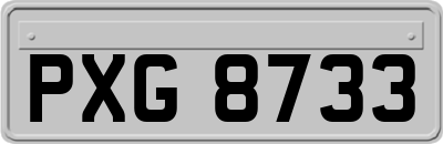 PXG8733