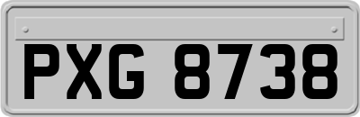 PXG8738