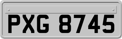 PXG8745