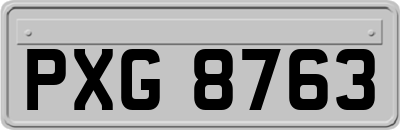 PXG8763