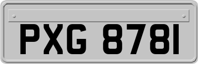 PXG8781