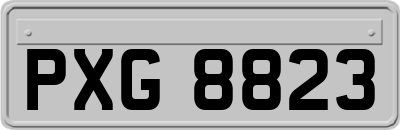 PXG8823