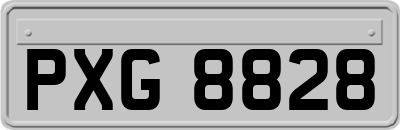 PXG8828