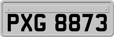 PXG8873