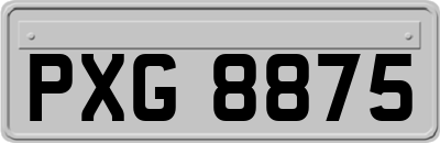 PXG8875