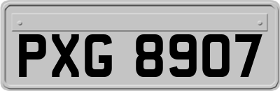 PXG8907