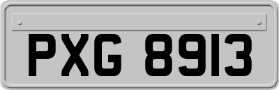 PXG8913