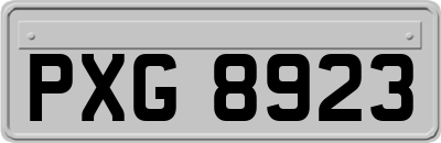 PXG8923