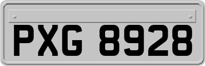 PXG8928