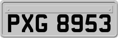 PXG8953