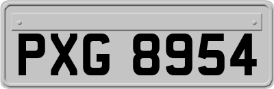 PXG8954