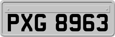 PXG8963