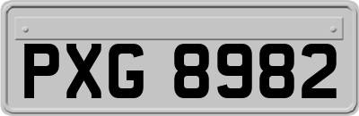 PXG8982