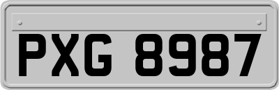 PXG8987