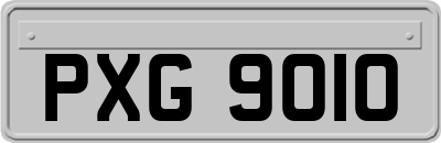 PXG9010