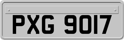 PXG9017