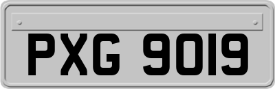 PXG9019