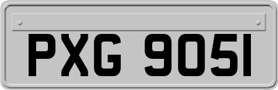 PXG9051