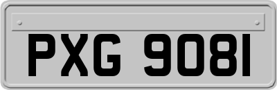 PXG9081