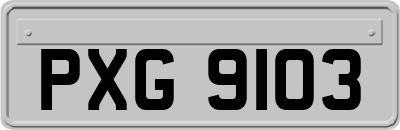 PXG9103