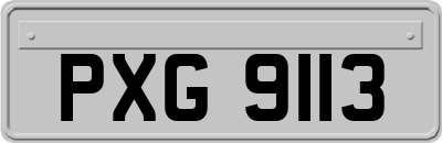 PXG9113