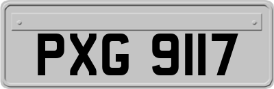 PXG9117