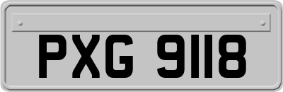 PXG9118