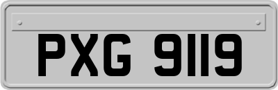 PXG9119