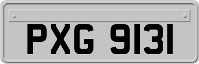 PXG9131