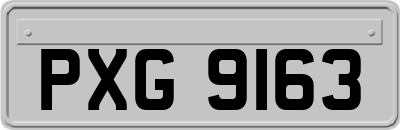 PXG9163