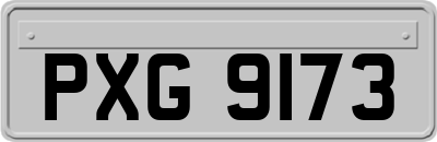 PXG9173