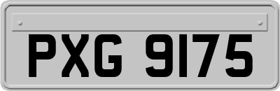 PXG9175