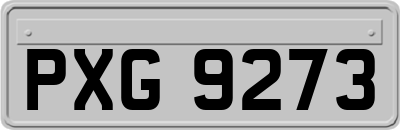 PXG9273